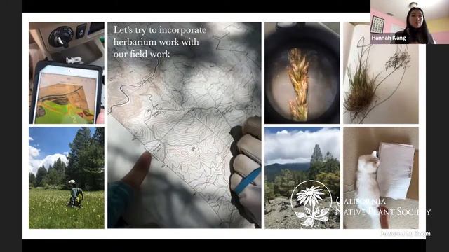 The Role of Herbaria in Preserving California's Unique Botanical Heritage смотреть онлайн
