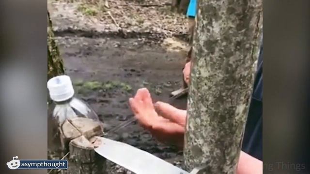 💪 People Are Amazing! Oddly Satisfying Things You Should See смотреть онлайн