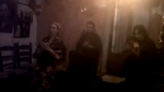 Flamenco,Granada,02-02/2012 смотреть онлайн