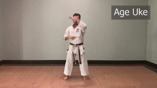 SAI BASICS! Practicing Sai At Home and How to Improve your Sai Flip! смотреть онлайн