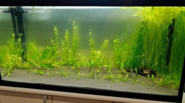 Сделал подсветку на акву 200 литров #NIK_72