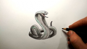 Как нарисовать Кобру