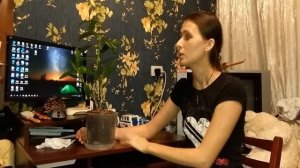 Орхидея дендробиум нобиле. Выращивание и уход в домашних условиях.