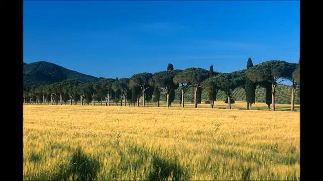L'Andana Tenuta La Badiola, Castiglione della Pescaia, Italy смотреть онлайн