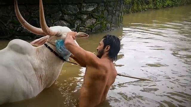 A day in the life of a #CountryBoy Action Hero смотреть онлайн