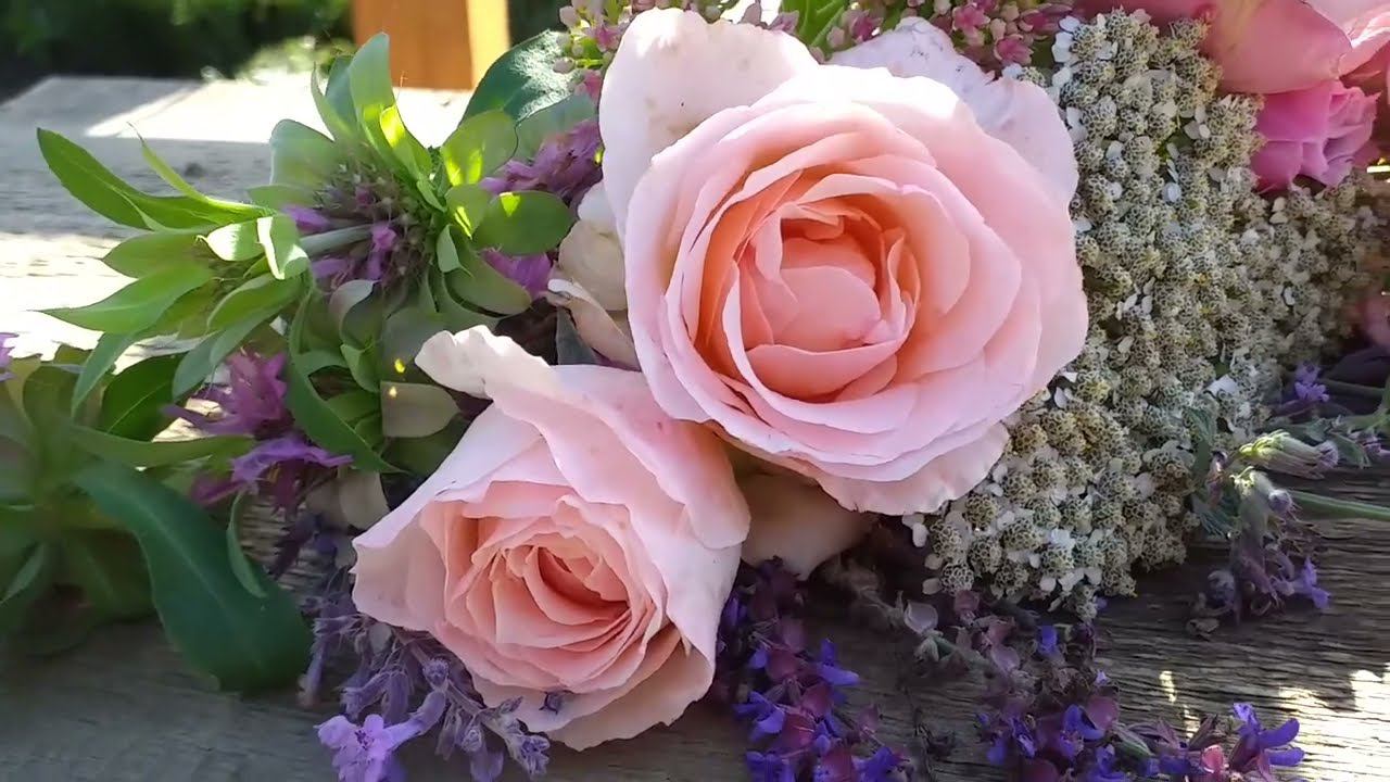 Сочетания... Блю Гёрл, Санта Барбара, Иоганн Штраус. И компаньоны смотреть онлайн