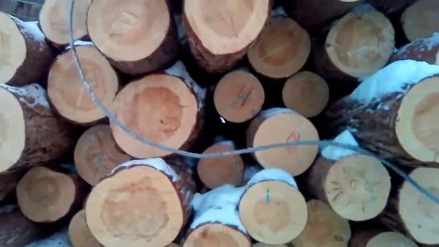 Строполим лес со стропальщиком под краном и везем лес на раму Р 63 будут лафет и доску смотреть онлайн