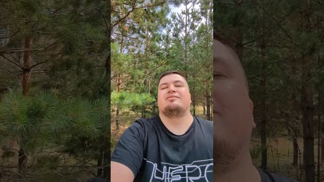 Попал в лес в Воронежской области, класс #shorts #short #природа #лес #елка смотреть онлайн