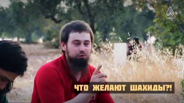 Что желают шахиды?
