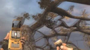 ТОП 5 ДОРОГИХ АРТЕФАКТОВ В STALKER ЗОВ ПРИПЯТИ