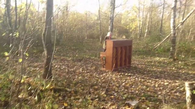 Шёл я по лесу и вдруг на встречу выскакивает пианино... Неожиданный сюрприз в лесу. смотреть онлайн