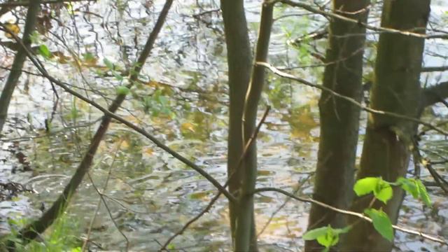 Рыбное место на минском море смотреть онлайн