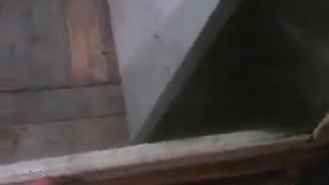СБОРКА БРУДЕРА смотреть онлайн