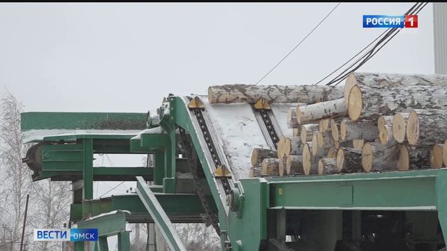 Возродилось после банкротства: в Тарском районе планируется возобновление производства древесины смотреть онлайн