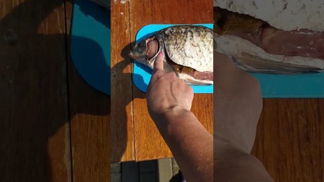 Карасики без косточек в спинке! Как делаю это я! Если было полезно ставьте ? смотреть онлайн