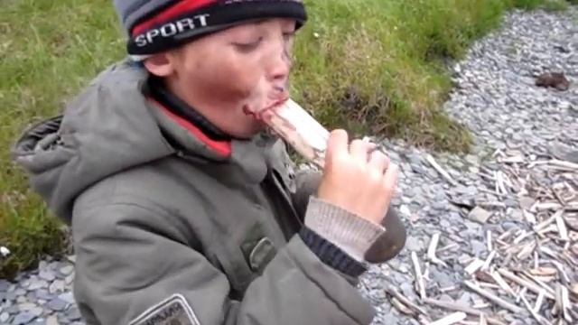 Детский туризм в Арктике