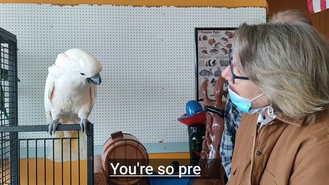 Berea College. Мой путь в Кентукки и 14 дней карантина смотреть онлайн