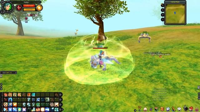 Fiesta online -Templar/Crusader game play. смотреть онлайн