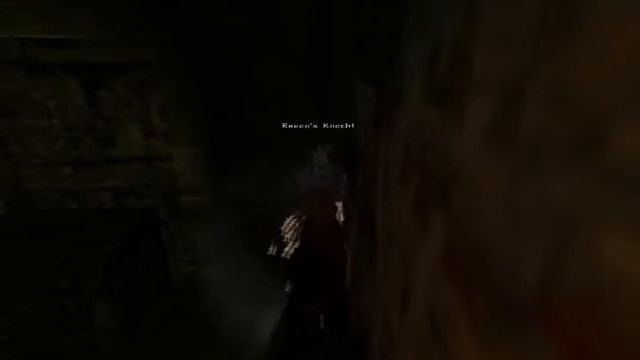 Let's play Gothic 2 Die Nacht des Raben Part 100: Raven und das Portal смотреть онлайн