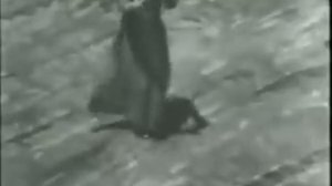 Комилжон Отаниёзов   Лазги    komiljon otaniyozov