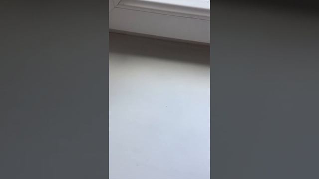 Как правильно ставить диск на болгарку