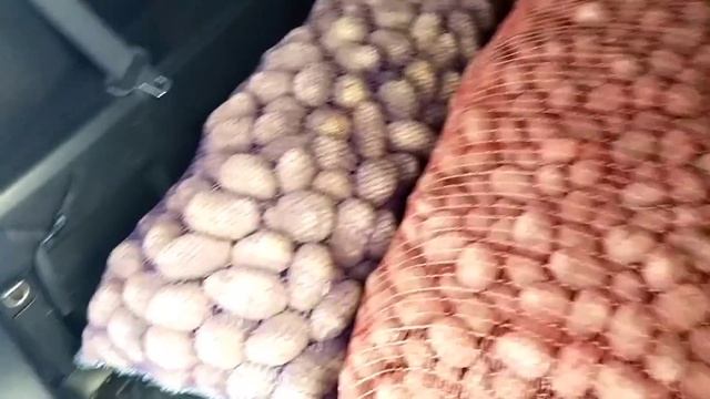 Какие ОВОЩИ для корма КОЗ в ХРАНИЛИЩЕ?Почём нынче продают?Овощи для КОЗ и КОРОВЫ? смотреть онлайн