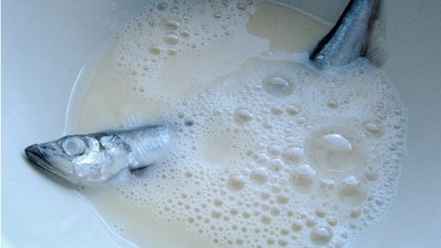 Сборник рецептов