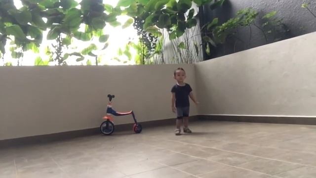 Scooter multifunctional смотреть онлайн