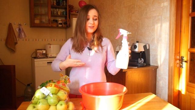 Чем лучше мыть фрукты и овощи/средство для мытья овощей и фруктов Hippo