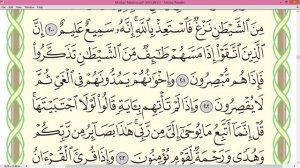 Шейх Айман Сувейд сура Аль Араф стр 176