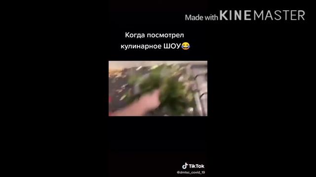 Подборочка смешных видосов! смотреть онлайн