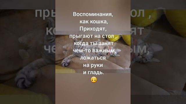 Автор: ironichna-osoba, стишки пирожки смотреть онлайн