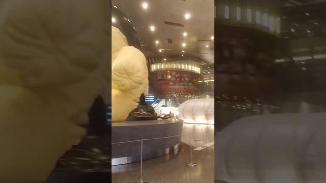 Qatar Doha airport ❤️♥️? смотреть онлайн