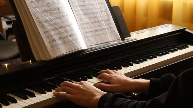 J.S Bach - Prelude no.1 in C Major смотреть онлайн