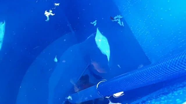 Септик под ключ в Коломне смотреть онлайн