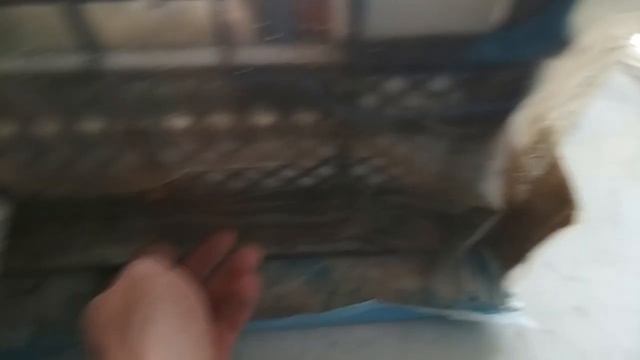 Перепелки в квартире смотреть онлайн