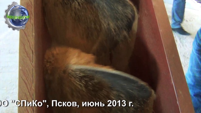 Переработка пивной дробины. смотреть онлайн