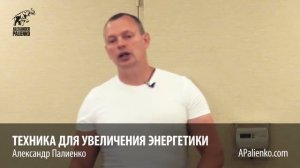 Техника для увеличения энергетики. Александр Палиенко.