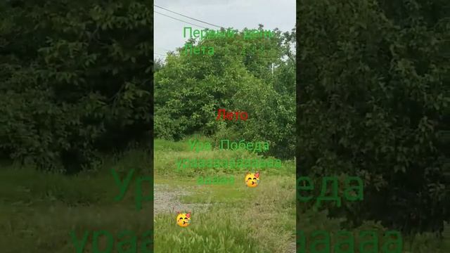 всех с первым днём лета ? смотреть онлайн