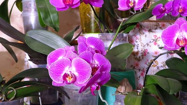 Новиночка и немного интересного!!!! смотреть онлайн