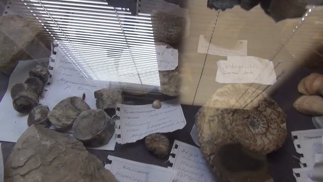 Сарыкумский бархан в Дагестане уникальное природное явление и достопримечательность смотреть онлайн