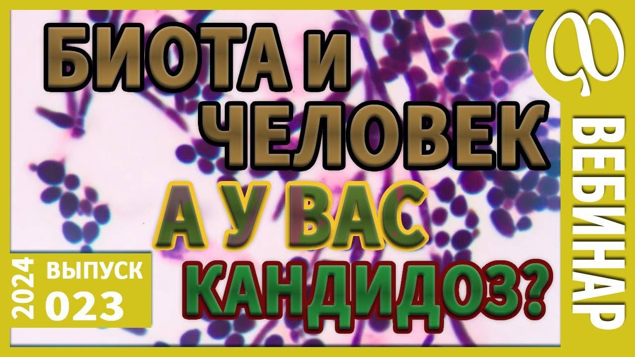 Лечение мылом. Суставы. Мгновенное исцеление. Системный кандидоз. Скинуть вес. Биота, белки, жиры. смотреть онлайн