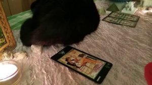 Онлайн гадание на таро Манара. " Как с ним себя вести?"