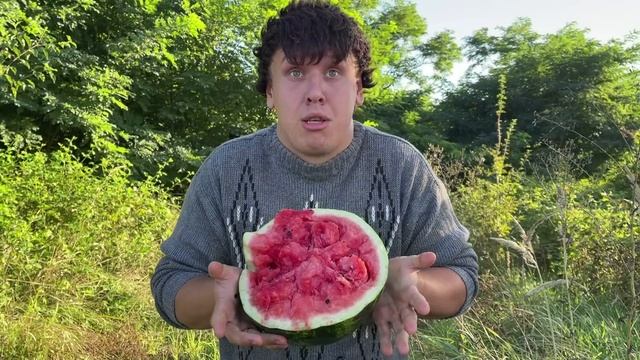 БРАТИКИ ПРОТИВ АРБУЗНИКА