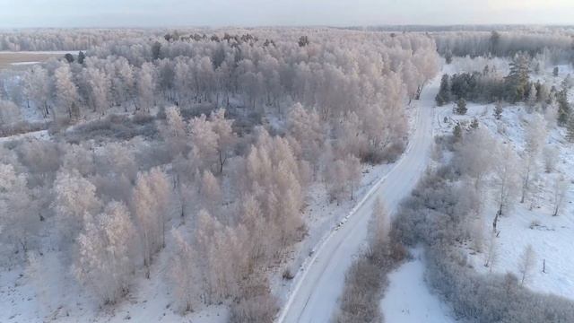 Природа Тюмени с высоты птичьего полёта смотреть онлайн