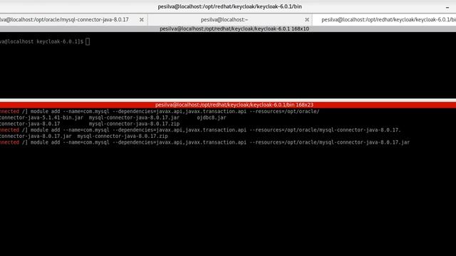 04 - Configurando Banco de Dados MySQL 8 смотреть онлайн