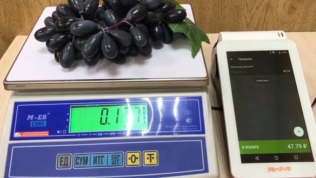 Весы фасовочные M-ER 326AF-6.1 LCD с USB(COM) смотреть онлайн