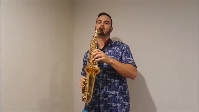Three Little Birds (Bob Marley) by Bruno Gerhard (alto sax cover). смотреть онлайн