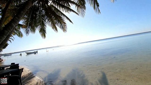 MUST SEE: BOCA CHICA 2020 Early morning walk on the beach in Boca, Dominican Republic ???? смотреть онлайн