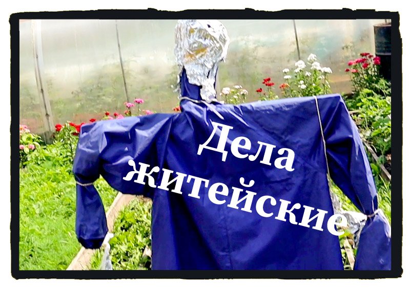 Дела житейские в деревне Картошку пропололи Копченая грудинка Забой бройлеров смотреть онлайн